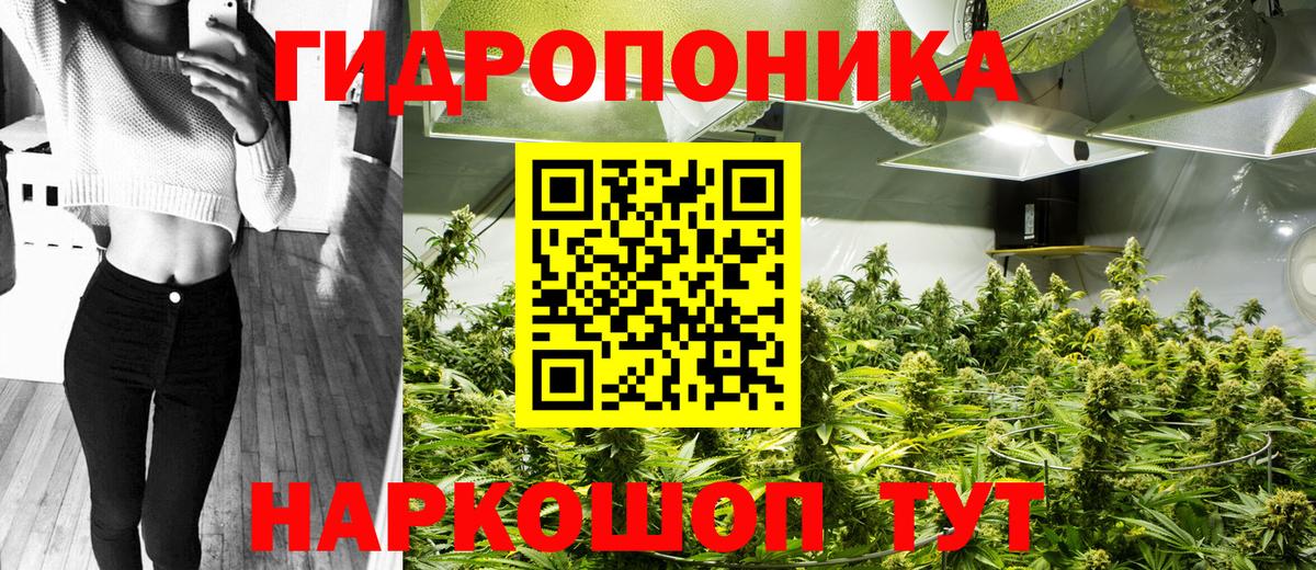 Канабис ГИДРОПОН Знаменск